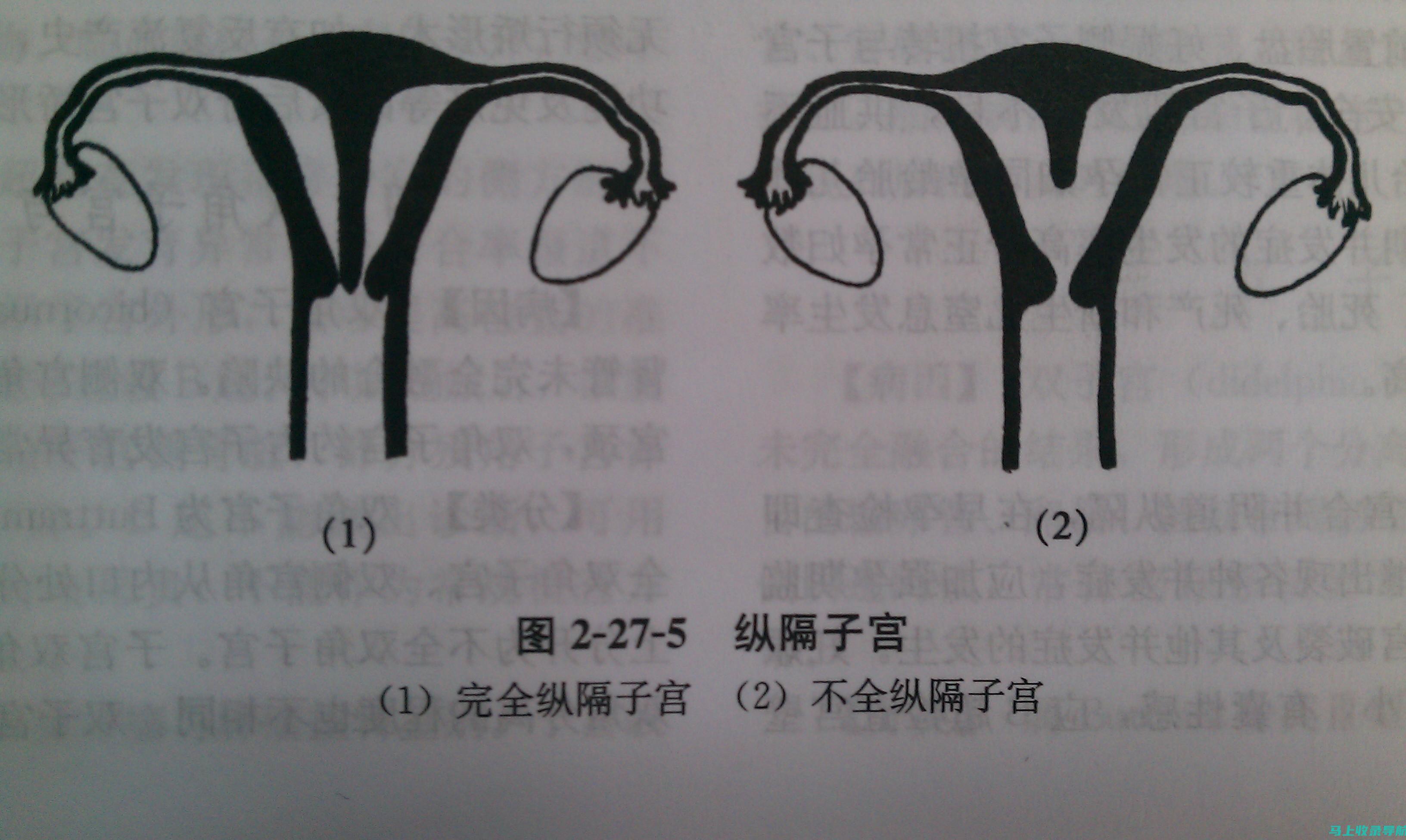 全面解析：当前最受欢迎的抖音优化公司排名